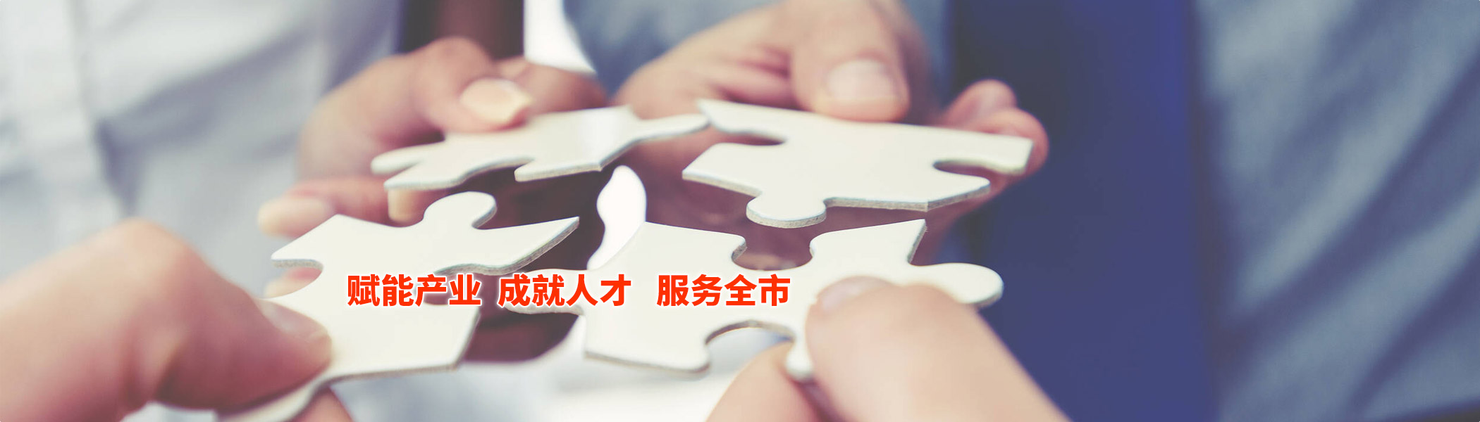 服務(wù)項(xiàng)目